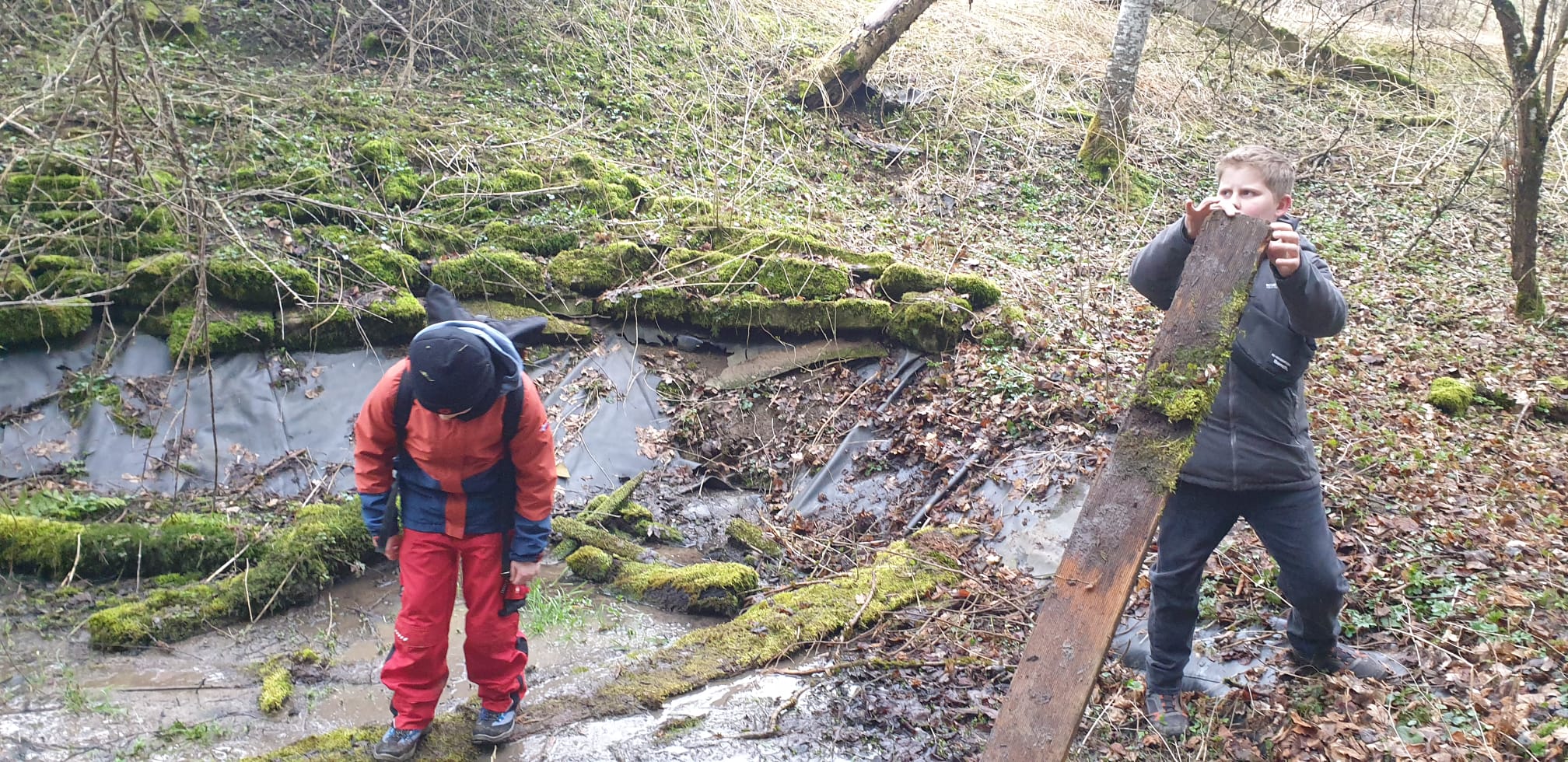 Bild 5