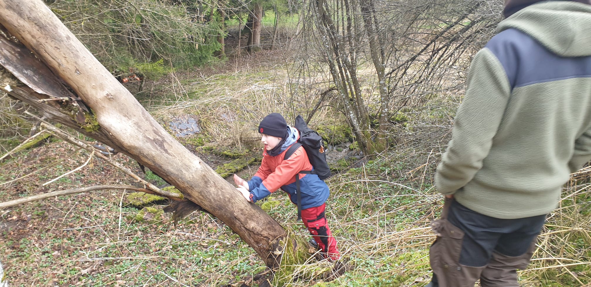 Bild 6